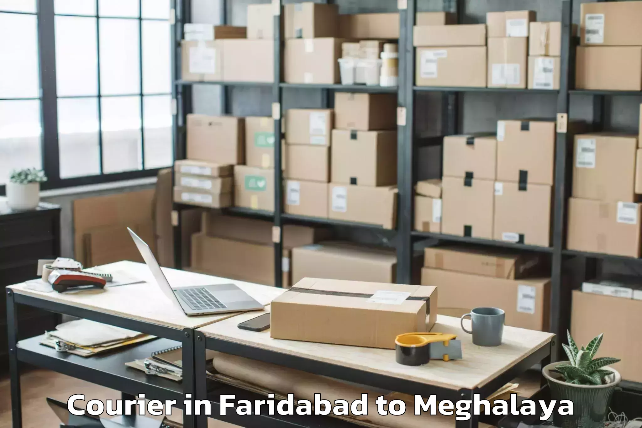 Quality Faridabad to Nongstoin Courier